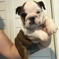 processed/cf88c735-fc06-4c25-98f5-2dd913b23945/facility/c63daa92-9844-41b9-a5a4-cb5003d53e2d