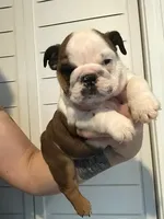 processed/cf88c735-fc06-4c25-98f5-2dd913b23945/facility/c63daa92-9844-41b9-a5a4-cb5003d53e2d