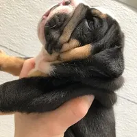 processed/cf88c735-fc06-4c25-98f5-2dd913b23945/facility/dcfc4653-e8bc-42b1-bfa2-863a7dccf388