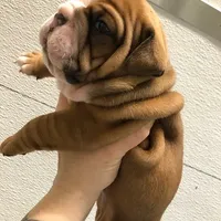 processed/cf88c735-fc06-4c25-98f5-2dd913b23945/facility/f705adc9-c30d-4f09-bfa8-dcf35fe8eb61