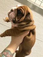 processed/cf88c735-fc06-4c25-98f5-2dd913b23945/facility/f705adc9-c30d-4f09-bfa8-dcf35fe8eb61