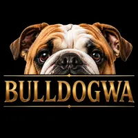 oakley, a female English Bulldog for sale in Portland, OR – 1 of 1