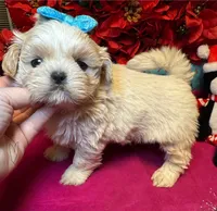 processed/cf9250f1-aac2-4578-be46-32e8880e88d3/listing/11ef7412-deb4-4d8d-a30d-80c9b39614e5/0c201786-6a75-453b-99a9-400e1567586a