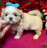 processed/cf9250f1-aac2-4578-be46-32e8880e88d3/listing/11ef7412-deb4-4d8d-a30d-80c9b39614e5/4f7f8396-36bf-4490-a072-646304c31f66