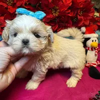 processed/cf9250f1-aac2-4578-be46-32e8880e88d3/listing/11ef7412-deb4-4d8d-a30d-80c9b39614e5/a2a4eaec-473f-4c23-a0f0-a4aa45ed5801