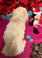 processed/cf9250f1-aac2-4578-be46-32e8880e88d3/listing/11ef7412-deb4-4d8d-a30d-80c9b39614e5/b8e50b89-07e3-4daa-8b86-97c509f7a4d9