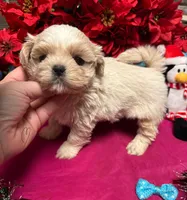 processed/cf9250f1-aac2-4578-be46-32e8880e88d3/listing/11ef7412-deb4-4d8d-a30d-80c9b39614e5/dcc2b043-624e-4de7-ab65-51544c8a1922