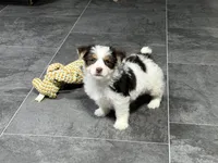 processed/cf96dcfb-7f37-4ff2-bfee-4df7830a998e/listing/3be90c78-090c-4be9-be27-d599667a5f6c/0b5fe7a9-d81e-4b0b-9078-acde4ad4311d