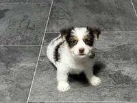 processed/cf96dcfb-7f37-4ff2-bfee-4df7830a998e/listing/3be90c78-090c-4be9-be27-d599667a5f6c/73a4edda-c8fc-40c6-939e-4b78b51c013e