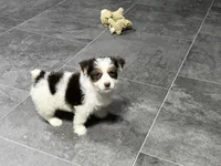 processed/cf96dcfb-7f37-4ff2-bfee-4df7830a998e/listing/3be90c78-090c-4be9-be27-d599667a5f6c/80e4f37b-9727-41ef-849c-b0dda3d97970