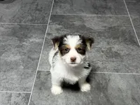 processed/cf96dcfb-7f37-4ff2-bfee-4df7830a998e/listing/3be90c78-090c-4be9-be27-d599667a5f6c/85280ac9-51b3-4dbf-8f35-5b19bb473acb