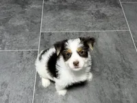 processed/cf96dcfb-7f37-4ff2-bfee-4df7830a998e/listing/3be90c78-090c-4be9-be27-d599667a5f6c/8c58e67c-dd05-4d3d-9b37-73326eed1901