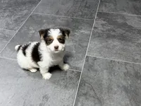 processed/cf96dcfb-7f37-4ff2-bfee-4df7830a998e/listing/3be90c78-090c-4be9-be27-d599667a5f6c/91599215-4b77-48a3-856e-57e233fd91b6