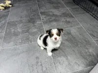 processed/cf96dcfb-7f37-4ff2-bfee-4df7830a998e/listing/3be90c78-090c-4be9-be27-d599667a5f6c/f17745b6-fb64-4873-a915-a9874ce1afd3