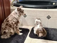 processed/cfa16926-6ef1-4d3d-9976-8104f92aec50/facility/32bc4937-d2a8-427a-b95a-b91c43d46dc2