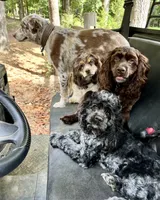 processed/cfa16926-6ef1-4d3d-9976-8104f92aec50/facility/34b52c3c-1562-4986-84f8-3e53efc1baca