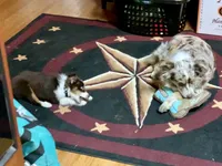 processed/cfa16926-6ef1-4d3d-9976-8104f92aec50/facility/96769658-1595-4a36-9460-859909dfd86e