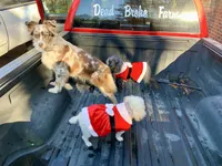 processed/cfa16926-6ef1-4d3d-9976-8104f92aec50/facility/b492633f-08e6-4932-a2fd-c8612bf66df3