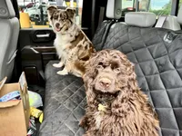 processed/cfa16926-6ef1-4d3d-9976-8104f92aec50/facility/bd3608f8-2bc0-46bd-81eb-87077ad8fa40