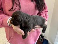 processed/cfa16926-6ef1-4d3d-9976-8104f92aec50/listing/30a66cbe-54ba-45ab-a0b0-e33fb0fc96f7/52c11846-cffd-43fc-b05c-d5730c66543c