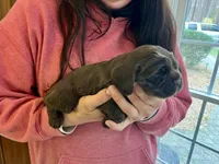 processed/cfa16926-6ef1-4d3d-9976-8104f92aec50/listing/30a66cbe-54ba-45ab-a0b0-e33fb0fc96f7/660ec70b-dbc3-4cfc-8839-9fe136d5495c