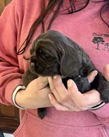 processed/cfa16926-6ef1-4d3d-9976-8104f92aec50/listing/30a66cbe-54ba-45ab-a0b0-e33fb0fc96f7/bbb6cc73-1084-4545-82d1-ed91a2e42b25