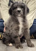 processed/cfb69396-3466-4a86-945b-819c778bfc26/listing/9a5f1570-dc32-4a7c-afcf-e255442de135/9e0f5f9d-b3fa-4f2c-820f-f155592ba291