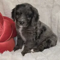 processed/cfb69396-3466-4a86-945b-819c778bfc26/listing/9a5f1570-dc32-4a7c-afcf-e255442de135/b9ea8078-dc5b-462f-9ef6-f2406e6172a7