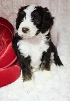 processed/cfb69396-3466-4a86-945b-819c778bfc26/listing/a2aa7407-5c19-4de5-8202-4d4c2914e186/096981f2-2028-43d2-bbd9-b3cd494e58c8