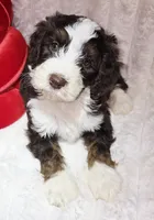 processed/cfb69396-3466-4a86-945b-819c778bfc26/listing/a2aa7407-5c19-4de5-8202-4d4c2914e186/1cf46e3a-71f0-465d-8185-f4ab0ec2d8c2