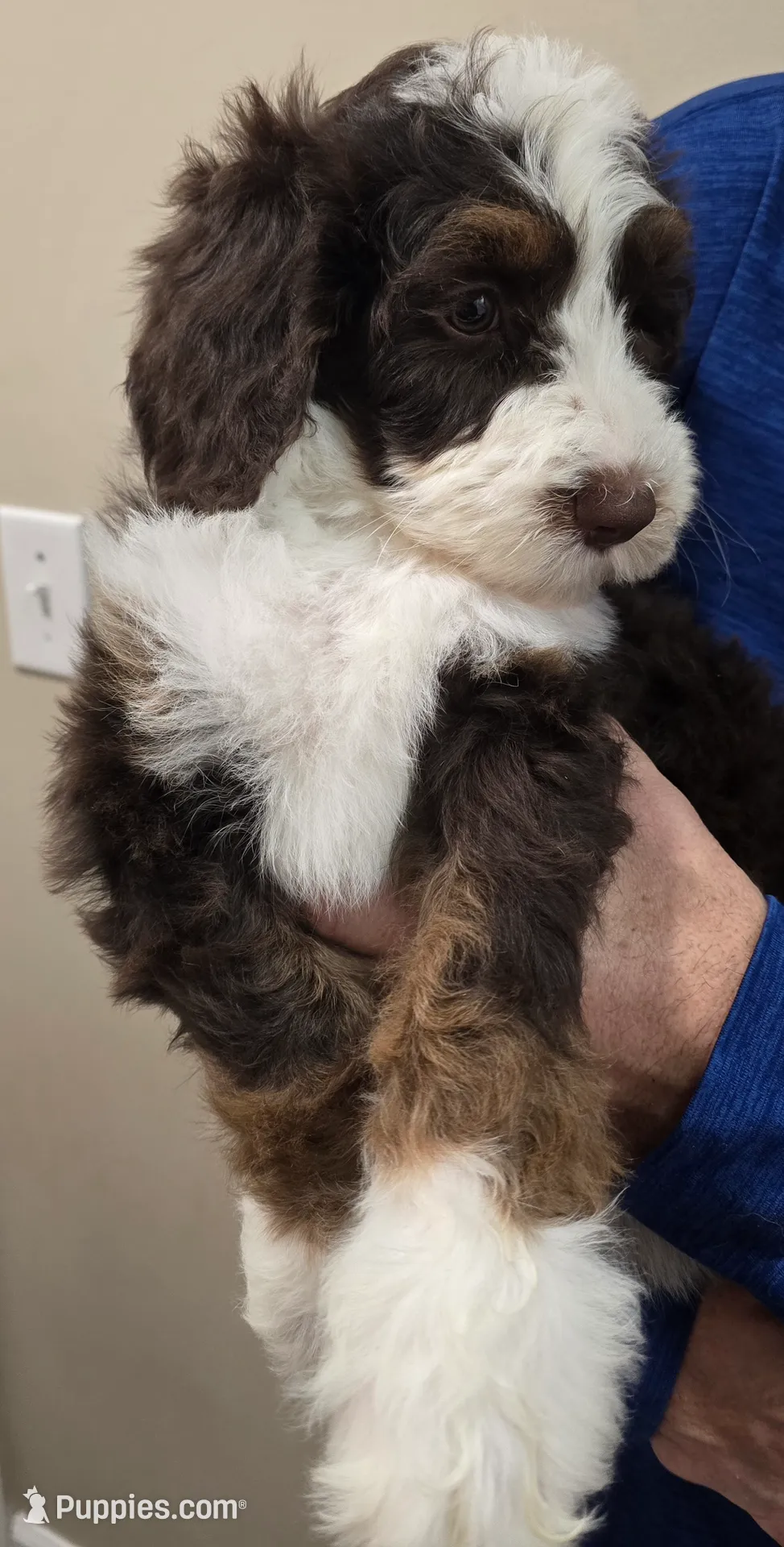 processed/cfb69396-3466-4a86-945b-819c778bfc26/listing/a2aa7407-5c19-4de5-8202-4d4c2914e186/4431ed20-18ca-4847-92ca-a048db2e7634