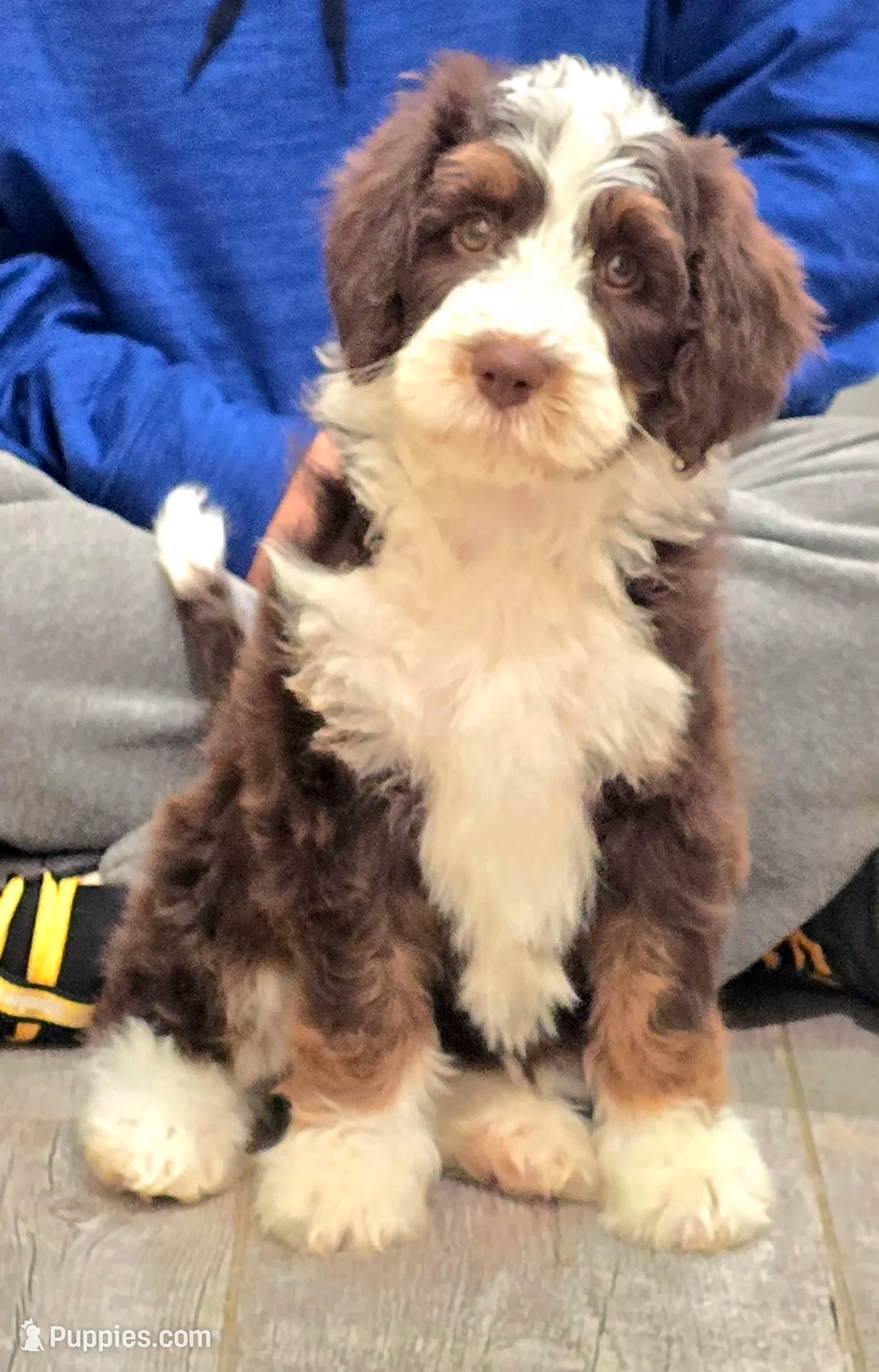 processed/cfb69396-3466-4a86-945b-819c778bfc26/listing/a2aa7407-5c19-4de5-8202-4d4c2914e186/5bbae4ad-f507-47f1-9925-4c7d4abb5216