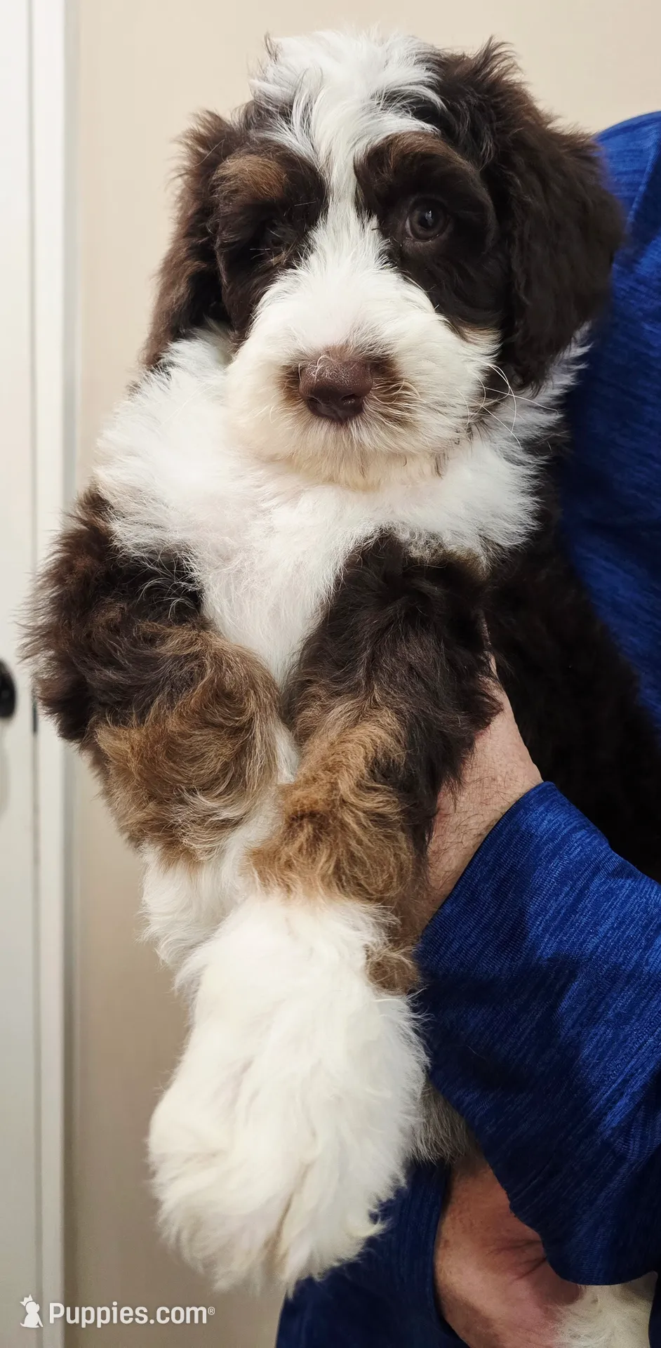 processed/cfb69396-3466-4a86-945b-819c778bfc26/listing/a2aa7407-5c19-4de5-8202-4d4c2914e186/709528b1-586f-4bb1-9d55-b040140af0b2