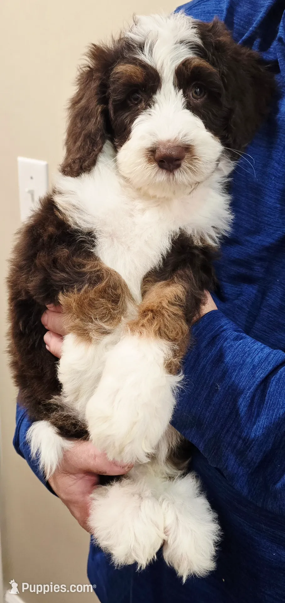 processed/cfb69396-3466-4a86-945b-819c778bfc26/listing/a2aa7407-5c19-4de5-8202-4d4c2914e186/aff9ccd7-49d3-408a-ad3a-50e71d339808