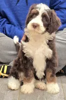 processed/cfb69396-3466-4a86-945b-819c778bfc26/listing/a2aa7407-5c19-4de5-8202-4d4c2914e186/f6660b6c-ec87-4835-a662-253fab6c916b