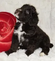 processed/cfb69396-3466-4a86-945b-819c778bfc26/listing/c68c0c29-e6d3-4f04-9603-339c2c81567d/615f0dc9-9357-45c9-b006-0d9de999d065