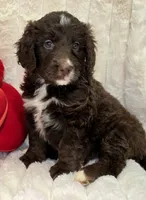 processed/cfb69396-3466-4a86-945b-819c778bfc26/listing/c68c0c29-e6d3-4f04-9603-339c2c81567d/cd0ad702-58f2-4bae-9283-dd9292379672