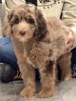 processed/cfb69396-3466-4a86-945b-819c778bfc26/listing/d138833d-0038-4df2-b5cf-74a7475a97a4/37b391b9-1c3e-40b5-857d-374a3e4a97e2