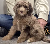 processed/cfb69396-3466-4a86-945b-819c778bfc26/listing/d138833d-0038-4df2-b5cf-74a7475a97a4/3b33a2f6-e01b-42e9-ba15-7bd12ea82ed9