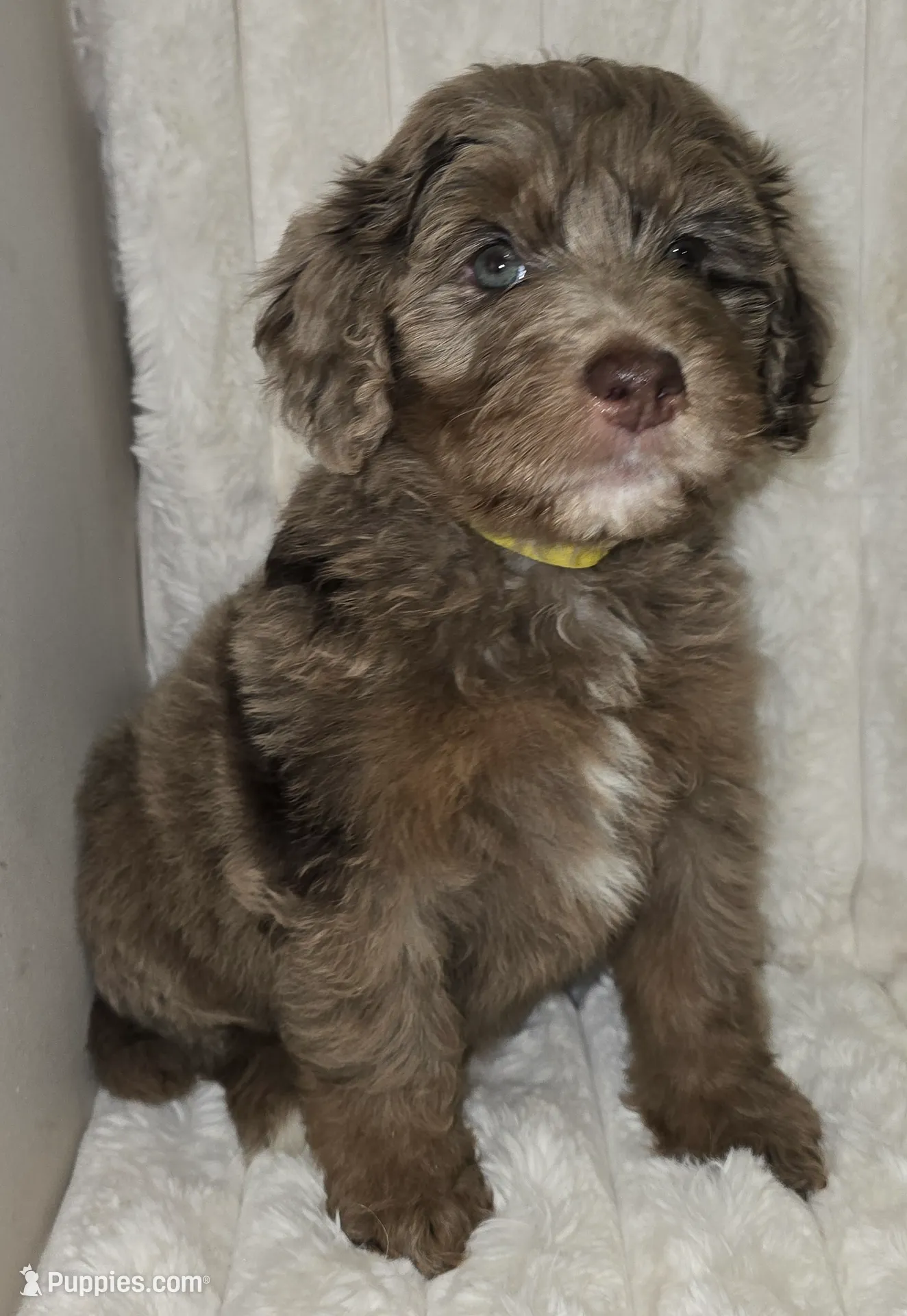 processed/cfb69396-3466-4a86-945b-819c778bfc26/listing/d138833d-0038-4df2-b5cf-74a7475a97a4/447a897f-c8e4-4182-95e8-f0bc71c9aa91