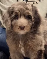 processed/cfb69396-3466-4a86-945b-819c778bfc26/listing/d138833d-0038-4df2-b5cf-74a7475a97a4/4532b7cc-d578-40d6-bde6-b3905f51e913