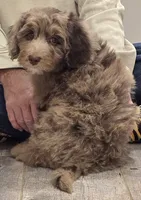 processed/cfb69396-3466-4a86-945b-819c778bfc26/listing/d138833d-0038-4df2-b5cf-74a7475a97a4/b7cdec9e-cd28-443c-93b7-9199134e7fe1