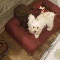 processed/cfbf84a9-e46f-44bb-9854-ebde7d5ce518/facility/073a6310-14c2-46bd-9a3f-28bbcc3129db