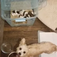 processed/cfbf84a9-e46f-44bb-9854-ebde7d5ce518/facility/1d45ad40-0387-4762-a977-1515db8f74e6