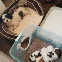 processed/cfbf84a9-e46f-44bb-9854-ebde7d5ce518/facility/bde98a68-f723-467d-a114-1f8fe97cb66c