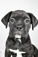 processed/cfc10f68-315f-46a7-8513-a597ad1b79c4/listing/0bb7f3b9-d902-4534-8601-0ed2bd347baf/37426097-5c59-4d12-9a1d-ca70ee83bc39