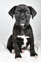 processed/cfc10f68-315f-46a7-8513-a597ad1b79c4/listing/0bb7f3b9-d902-4534-8601-0ed2bd347baf/3bfcafa9-e674-476b-8f44-b456f8797d91