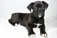 processed/cfc10f68-315f-46a7-8513-a597ad1b79c4/listing/0bb7f3b9-d902-4534-8601-0ed2bd347baf/4492a7c3-2985-479c-859c-5b73b69a1ce6