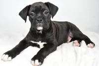 processed/cfc10f68-315f-46a7-8513-a597ad1b79c4/listing/0bb7f3b9-d902-4534-8601-0ed2bd347baf/58aaae66-6422-4827-a6aa-a2f29fab3288