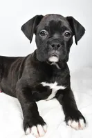 processed/cfc10f68-315f-46a7-8513-a597ad1b79c4/listing/0bb7f3b9-d902-4534-8601-0ed2bd347baf/7e040b4d-83bf-4103-bebc-3045d3a9f783